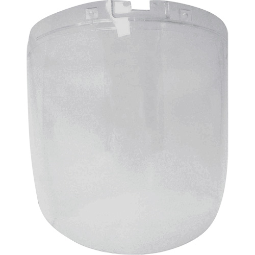 &eacute;cran antibrouillard de remplacement de la s&eacute;rie DP4, Polycarbonate, Teinte Transparent Les Distributions ICE