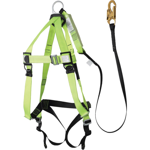 FBH-10000A5440-4 Harnais & longe classe A de 4' avec capacit&eacute; de 220 lb, Combinaison harnais/longe Les Distributions ICE