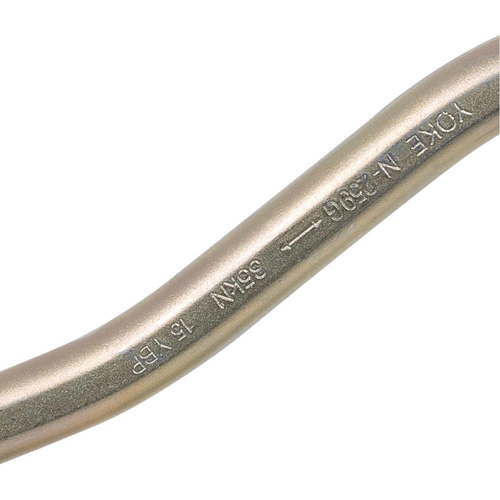 CP-04011-1 Zinc Plated Carabiner with 2" Gate Opening, Steel Les Distributions ICE