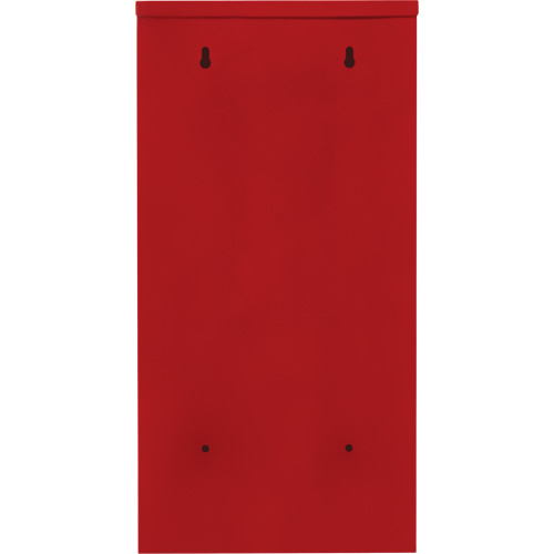Armoires ext&eacute;rieures robustes pour extincteurs, 14" la x 28" h x 10" p Les Distributions ICE
