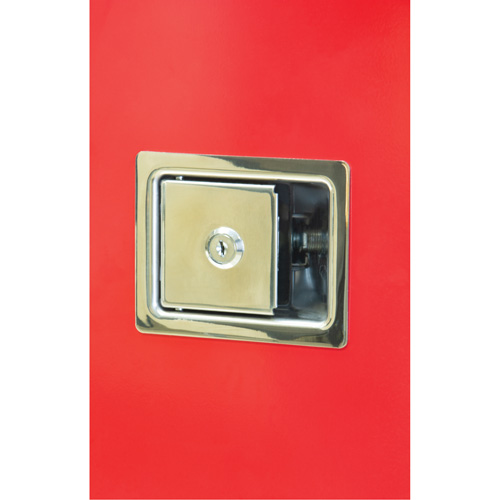 Armoires ext&eacute;rieures robustes pour extincteurs, 14" la x 28" h x 10" p Les Distributions ICE