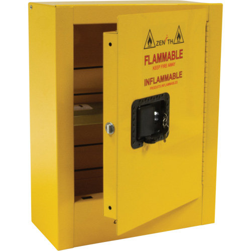 Mini Flammable Safety Cabinet, 2 Gal., 1 Door, 17" W x 22" H x 8" D Les Distributions ICE