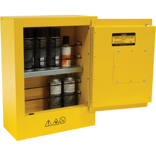 Mini Flammable Safety Cabinet, 2 Gal., 1 Door, 17" W x 22" H x 8" D Les Distributions ICE