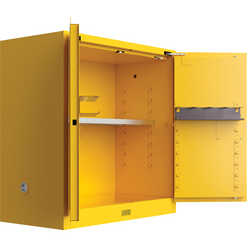 Utili-Guard+ Flammable Safety Cabinet, 30 gal., 1 Door, 43" W x 44" H x 22" D Les Distributions ICE