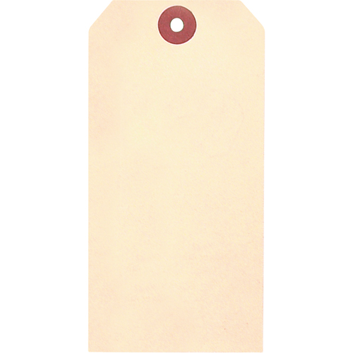 Manila Blank Tags, Cardstock, 2-1/8" W x 4-1/4" H Les Distributions ICE