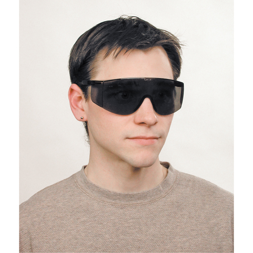 Lunettes de s&eacute;curit&eacute; Tacoma, Lentille Grise/fum&eacute;e, Anti-&eacute;gratignures, ANSI Z87+ Les Distributions ICE