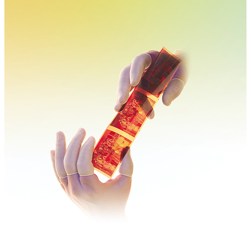 QRP&reg; Low Powder Latex Finger Cots Les Distributions ICE