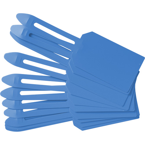 &eacute;tiquettes de cadenassage vierges en plastique, Plastique, 3-1/4" la x 5-4/5" h, Vierge Les Distributions ICE