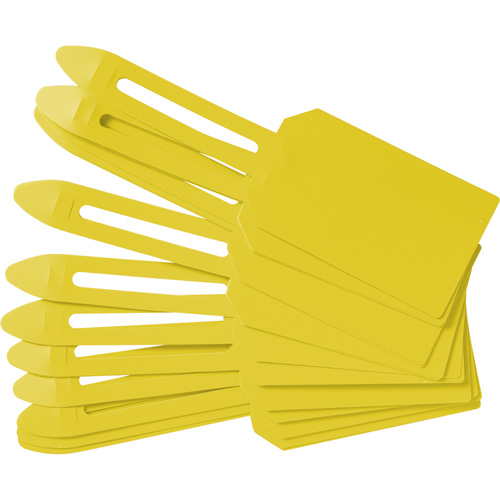 &eacute;tiquettes de cadenassage vierges en plastique, Plastique, 3-1/4" la x 5-4/5" h, Vierge Les Distributions ICE