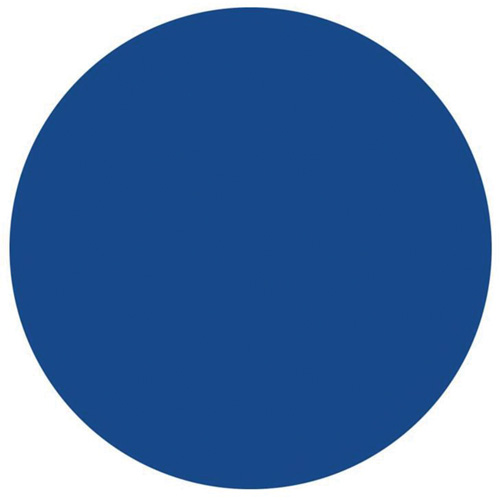 Round Write-On Labels, Circle, 1.5" L x 1.5" W, Blue Les Distributions ICE