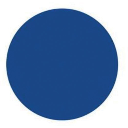 Round Write-On Labels, Circle, 3" L x 3" W, Blue Les Distributions ICE