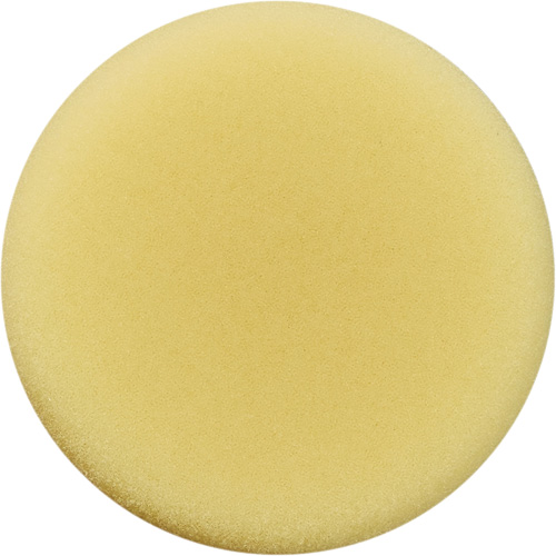 Polishing Pad, 3" Dia. Les Distributions ICE