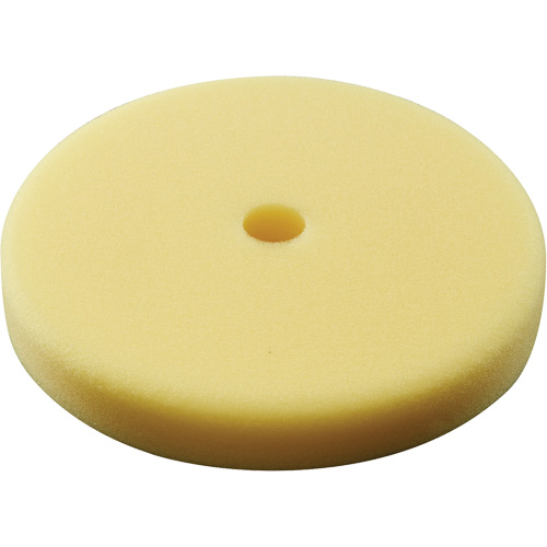 Polishing Pad, 7" Dia. Les Distributions ICE