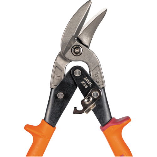 Compound Action Snips Les Distributions ICE
