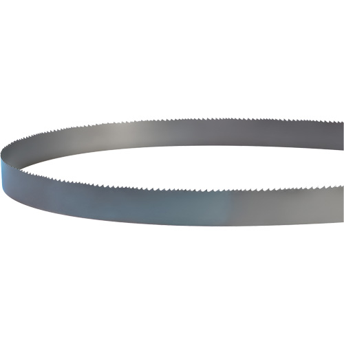 Lame soud&eacute;e pour scie &agrave; ruban, Bim&eacute;tal, 14' lo x 1" la x 4 - 6 dents par pouce Les Distributions ICE