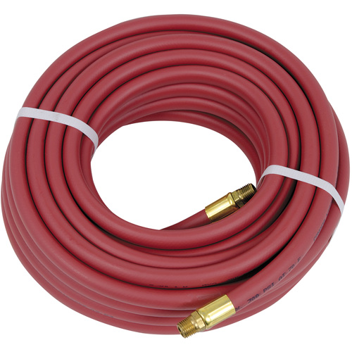 Heavy-Duty Air Hose, Air, PVC, 3/8" dia. x 50', 300 psi, 1/4 NPT Les Distributions ICE