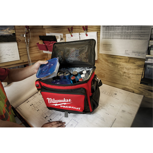 Packout Cooler, 20.5 L Capacity Les Distributions ICE