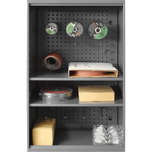 Armoire d'entreposage de produits abrasifs avec panneau perfor&eacute;, Acier, 19-7/8" x 14-1/4" x 32-3/4", Gris Les Distributions ICE