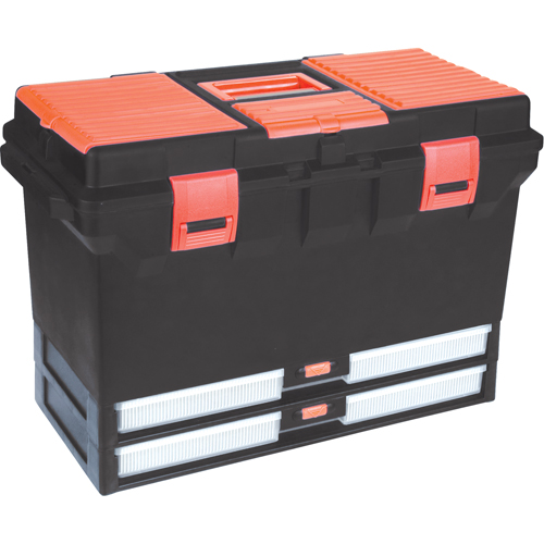 Plastic Tool Box, 22" W x 11" D x 14-1/2" H, Black Les Distributions ICE