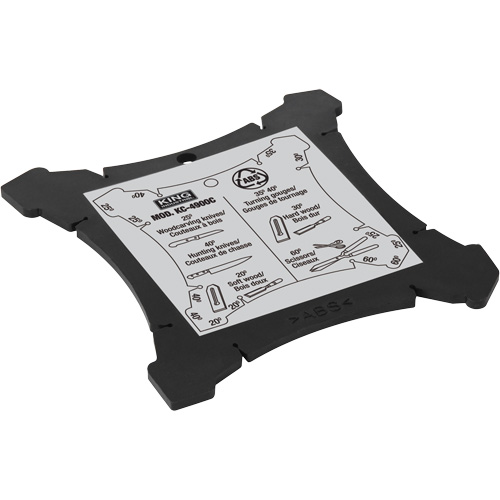 Affûteuse s&egrave;che-humide, Dia de roue 10", 1/4 CV, 115 tr/min Les Distributions ICE