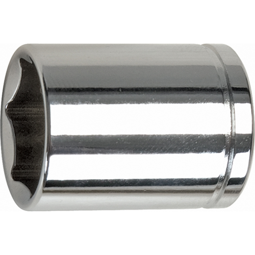 Metric Socket, 10 mm, 3/8" Drive, 6 Points Les Distributions ICE