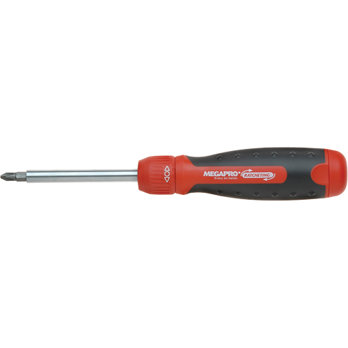 13-in-1 Ratcheting Driver, Cushion Grip Handle Les Distributions ICE