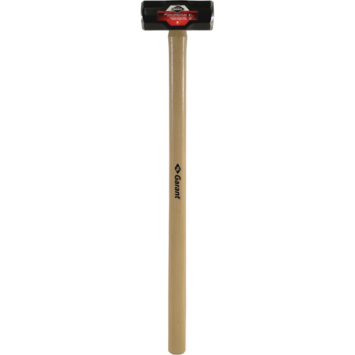 Double-Face Sledge Hammer, 8 lbs., 32" L, Wood Handle Les Distributions ICE