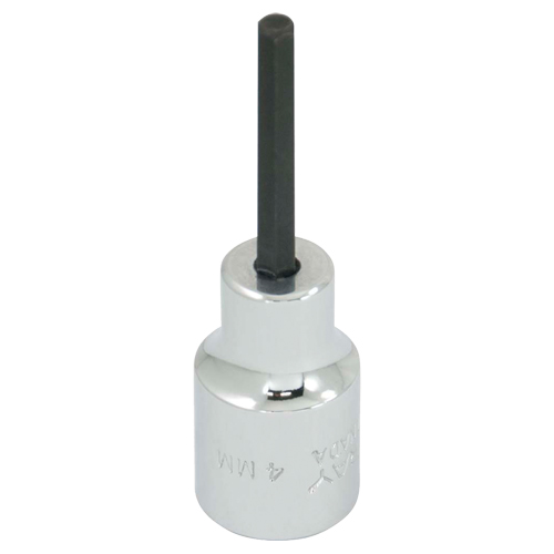 Embout de rechange, 5 mm x 1-1/5" lo, Prise 3/8" Les Distributions ICE