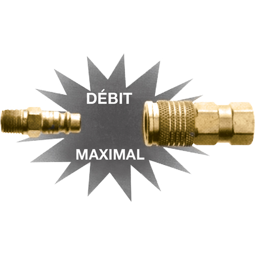 Ultraflo Interchange Plugs, 1/4" Les Distributions ICE