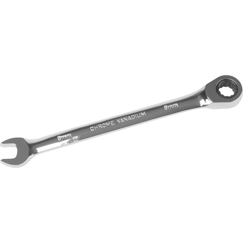 Metric Ratcheting Combination Wrench, 12 Point, 8 mm, Chrome Finish Les Distributions ICE