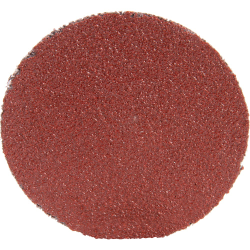 Disque 361F Roloc, 1-1/2" dia., Grain P100, Oxyde d'aluminium Les Distributions ICE