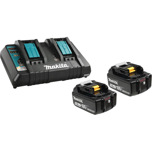 Li-Ion Battery & Dual-Port Charger Kit, 18 V, Lithium-Ion Les Distributions ICE