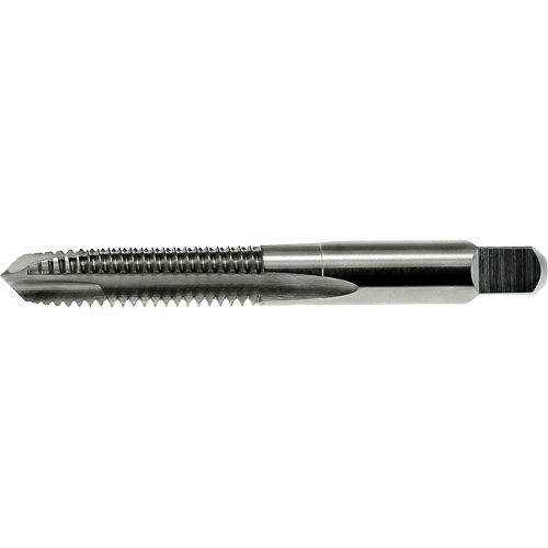 Taraud &agrave; pointe spiral&eacute;e surdimensionn&eacute;e Nitro DRILLCO, Acier rapide, Filet de 8-32 Les Distributions ICE