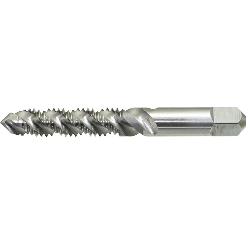 Taraud &agrave; main &agrave; cannelure spiral&eacute;e DRILLCO, Acier rapide, Filet 1/4"-20 Les Distributions ICE