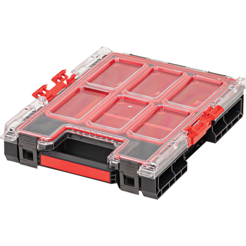 Arx Medium Organizer with Bins, 10-3/10" x 14-3/10" x 3", Black Les Distributions ICE