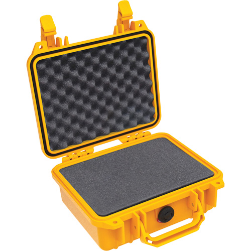 1200 Protector Case with Foam Les Distributions ICE