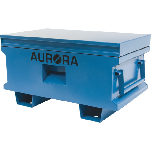 Coffre &agrave; outils de chantier, 33" x 20-3/10" x 18-3/10", Acier, Bleu Les Distributions ICE