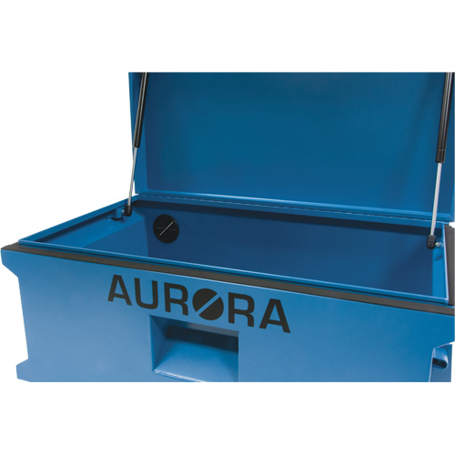 Coffre &agrave; outils de chantier, 33" x 20-3/10" x 18-3/10", Acier, Bleu Les Distributions ICE