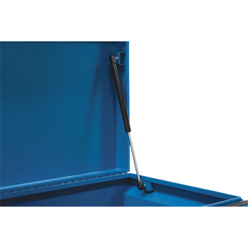 Coffre &agrave; outils de chantier, 33" x 20-3/10" x 18-3/10", Acier, Bleu Les Distributions ICE