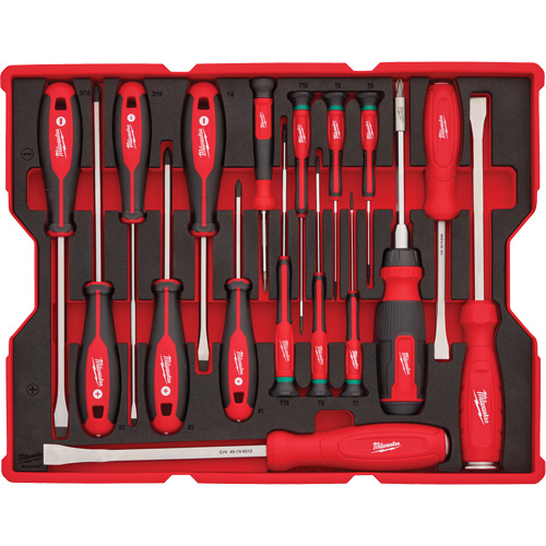 Screwdriver & Pry Bar Set with Tray for PACKOUT Drawers, 17, Magnetic Les Distributions ICE