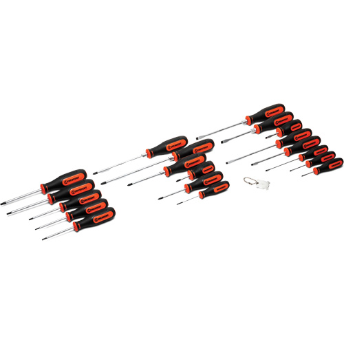 Jeu de tournevis &agrave; double mat&eacute;riaux, 20 mcx. Les Distributions ICE