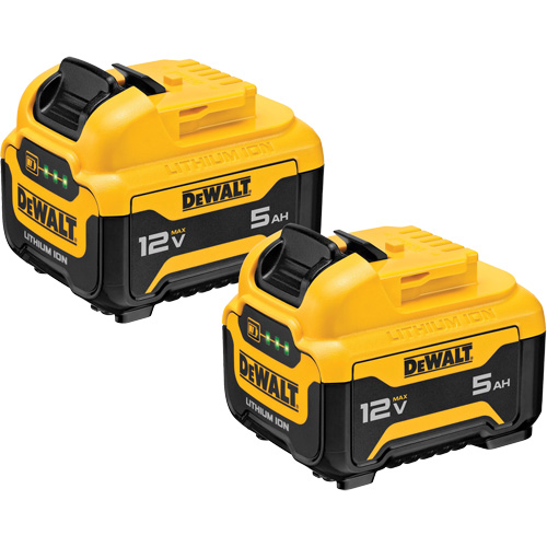 Bloc-piles Max*, Lithium-ion, 12 V, 5 Ah Les Distributions ICE