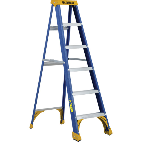 Industrial Duty Stepladders (6300 Series), 6', Fibreglass, 250 lbs. Capacity, Type 1 Les Distributions ICE