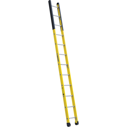 Single Manhole Ladder, 12', Fibreglass, 375 lbs., CSA Grade 1AA Les Distributions ICE