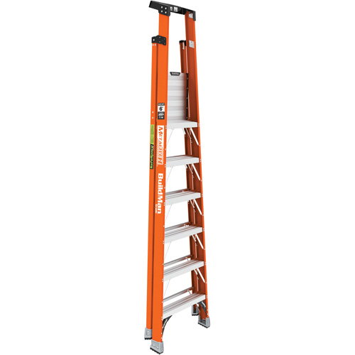 Escabeau avec plateforme Safespace, 6', Cap. De 300 lb Les Distributions ICE