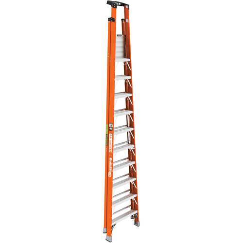 Escabeau avec plateforme Safespace, 10', Cap. De 300 lb Les Distributions ICE