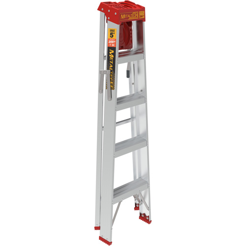Step Ladder with Paint Tray, 5', Aluminum, 200 lbs. Capacity, Type 3 Les Distributions ICE