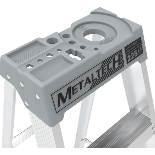 Step Ladder with Paint Tray, 10', Aluminum, 225 lbs. Capacity, Type 2 Les Distributions ICE