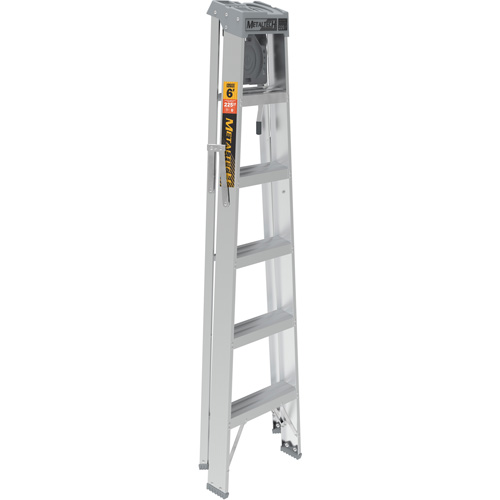 Step Ladder with Paint Tray, 6', Aluminum, 225 lbs. Capacity, Type 2 Les Distributions ICE