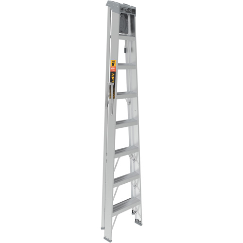 Step Ladder with Paint Tray, 8', Aluminum, 225 lbs. Capacity, Type 2 Les Distributions ICE